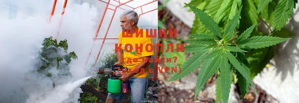 гашиш Ельня