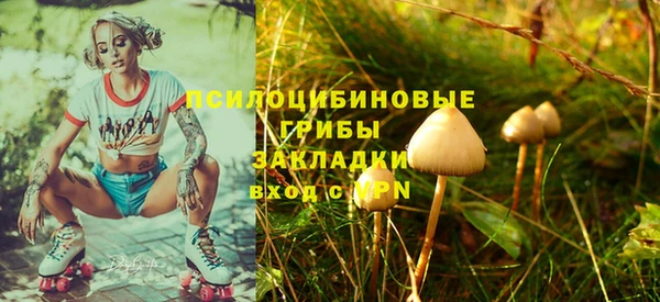 a pvp Алзамай