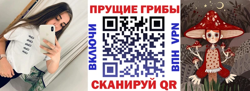 Галлюциногенные грибы прущие грибы  Заполярный 